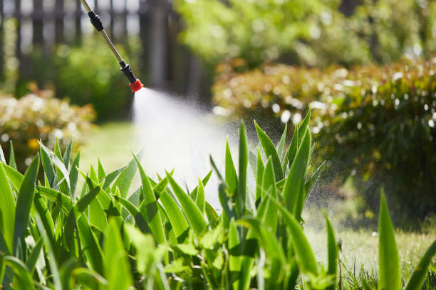 24/7 Emergency Mosquito Control experts in English, IN