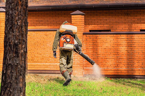 Top rated local Mosquito Control specialists in English, IN